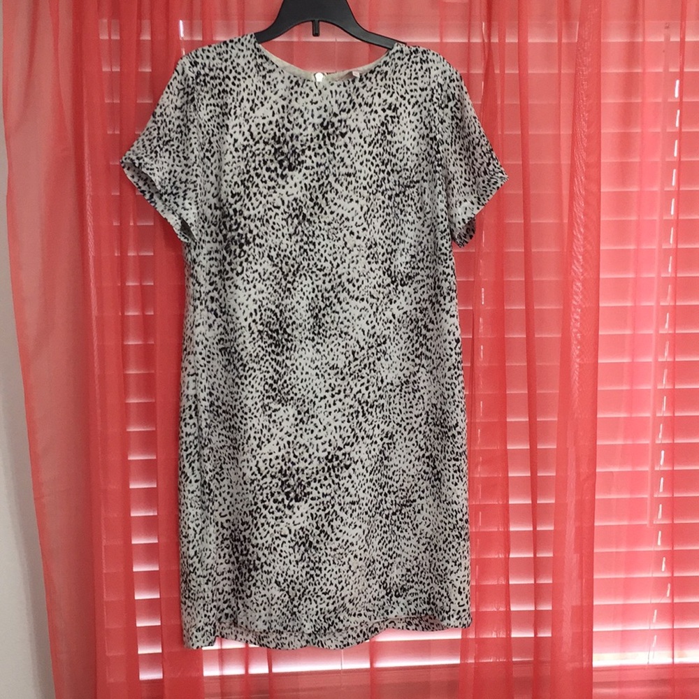 Olivaceous dress